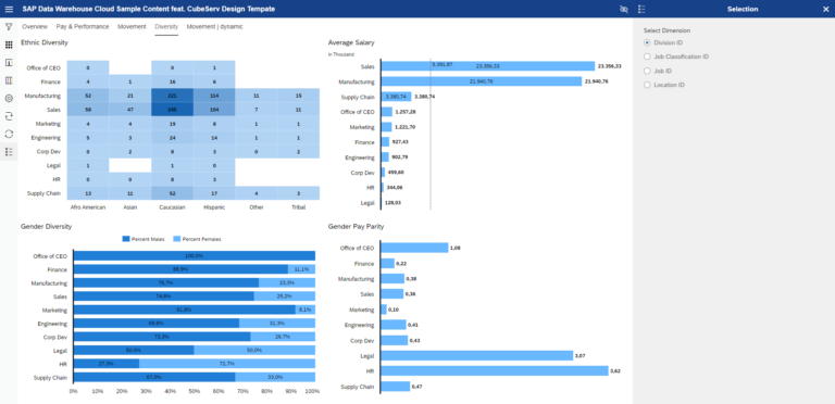 CubeServ SAC Design Template Analytics with Dimensions